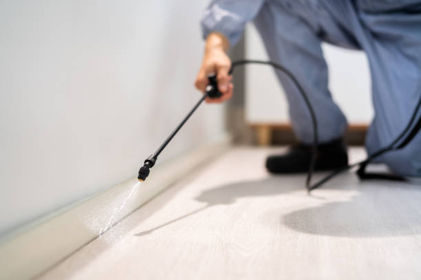 Best Pest Removal Services  in Haysville, KS