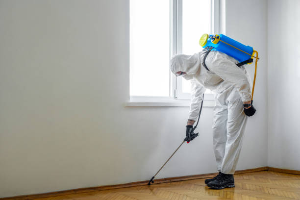 Best Residential Pest Control  in Haysville, KS
