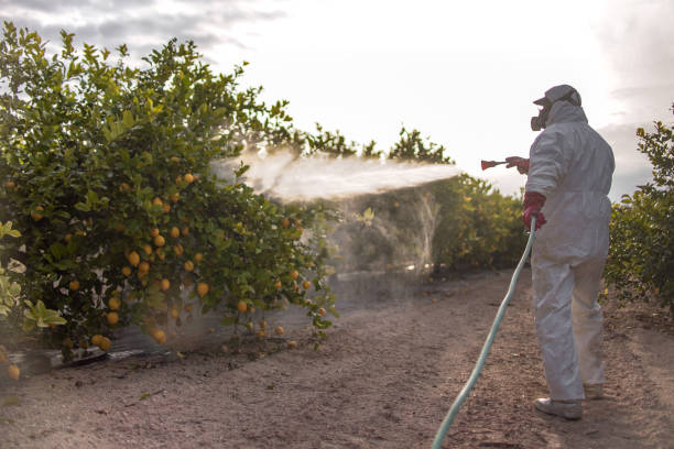 Pest Control Cost in Haysville, KS