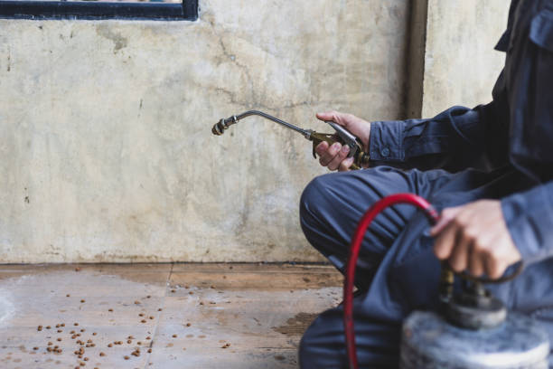 Best Exterminator Services  in Haysville, KS